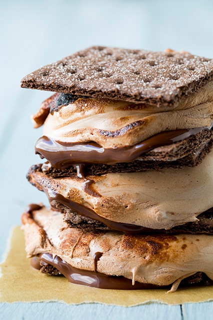 chocolate lovers s'mores - even non s'mores lovers will LOVE these! completely divine!
