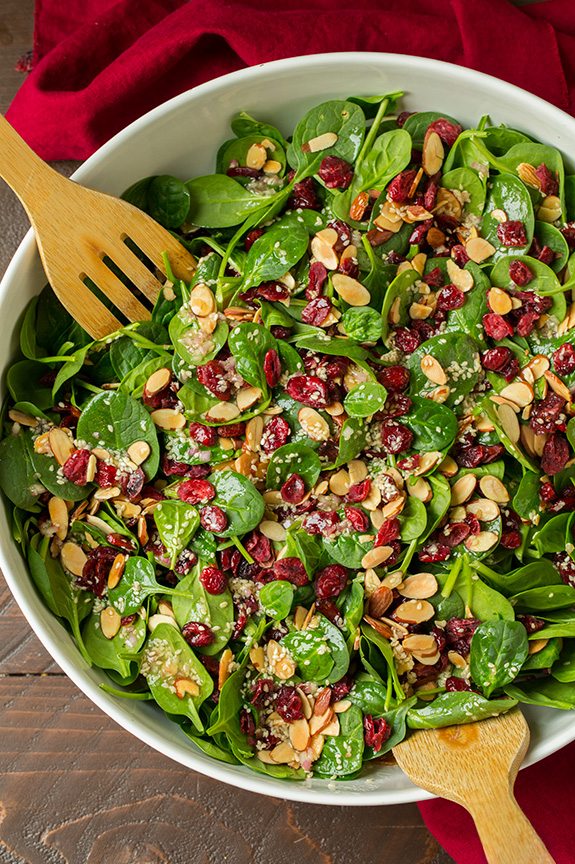 SPINACH SALAD RECIPES WITH DRIED CRANBERRIES