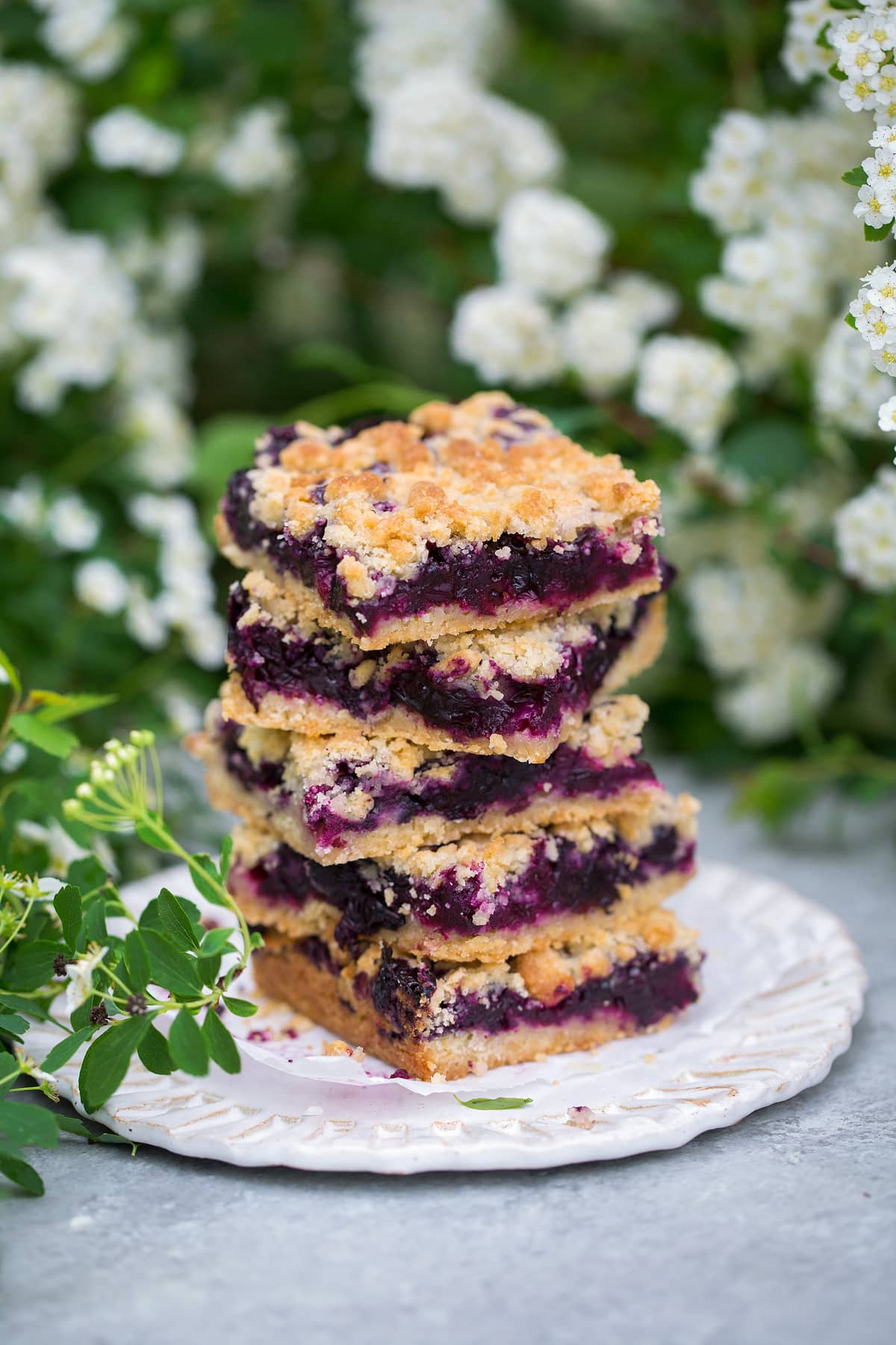 stack of 5 fresh blueberry bars on white plate