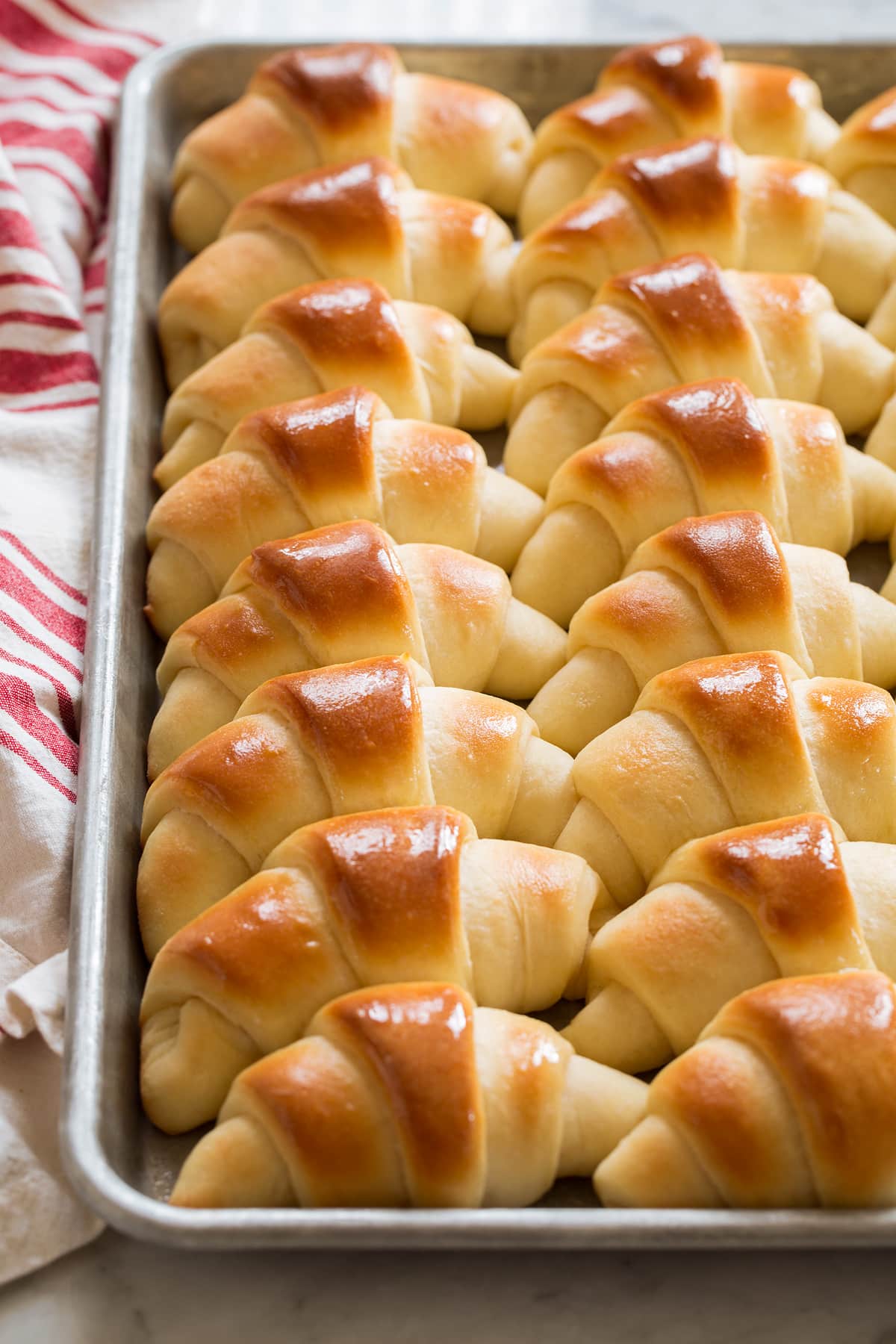 Sheet pan filled with rows of baked dinner rolls.