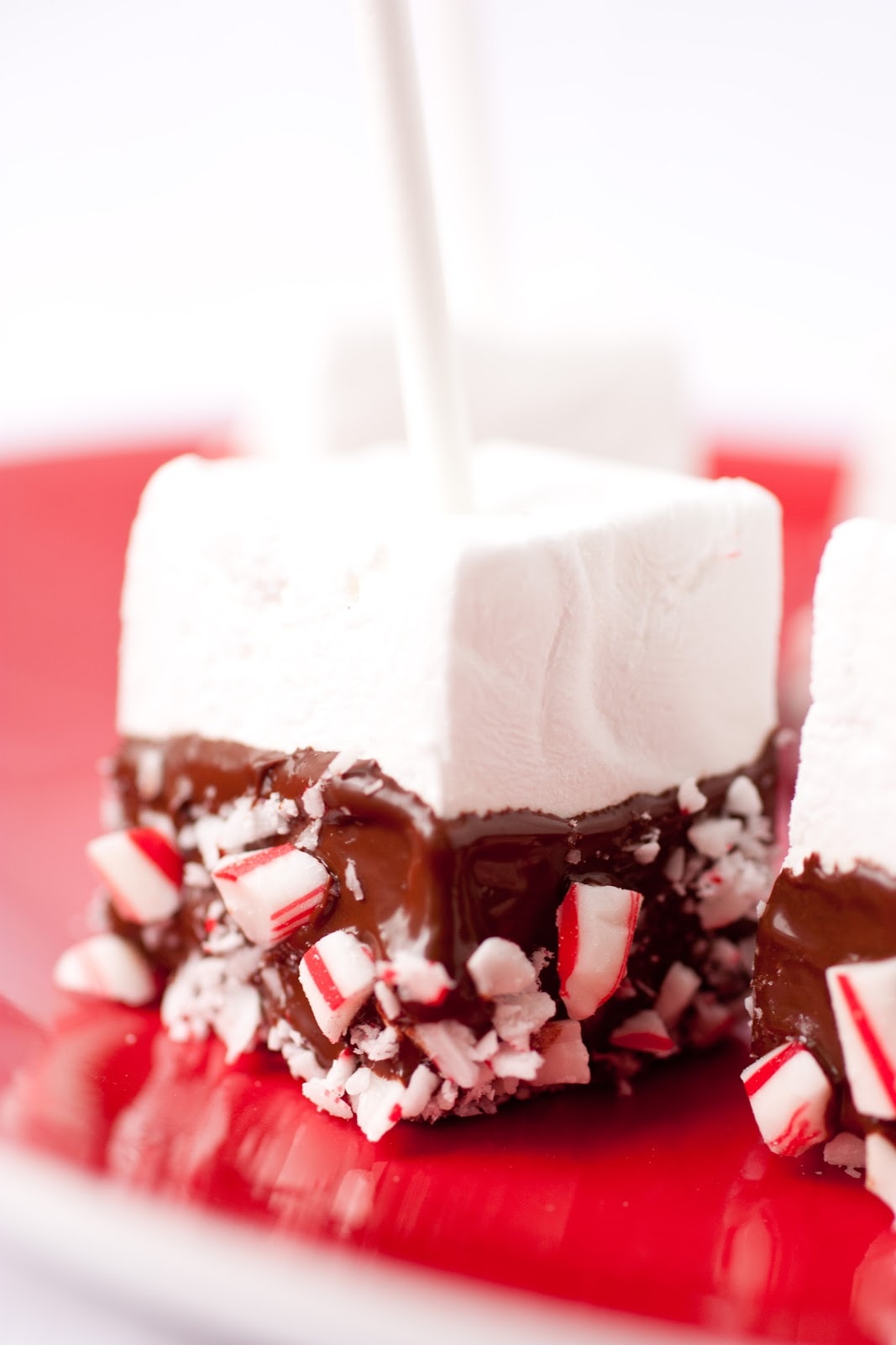 Homemade Peppermint Marshmallows - The Perfect Hot Cocoa Stirrers