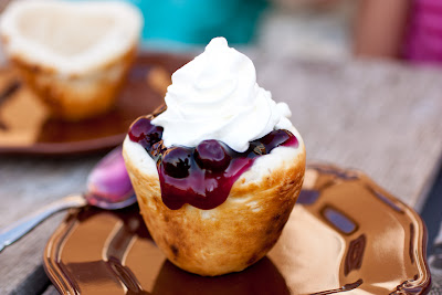Campfire Tarts filled with blueberries