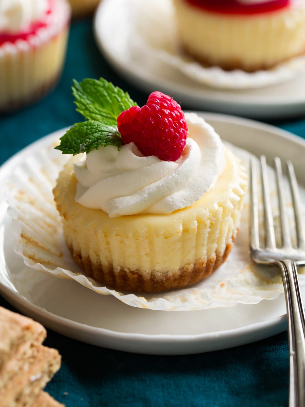 Mini Cheesecakes | Recipe Cart