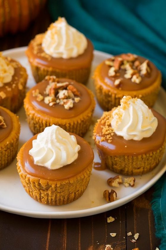 Mini Pumpkin Cheesecakes with Caramel Sauce Cooking Classy