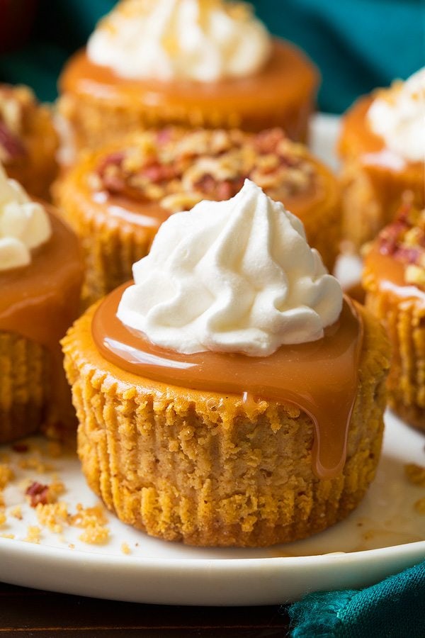 Close up image of pumpkin cheesecake mini. Topped with caramel sauce and whipped cream.