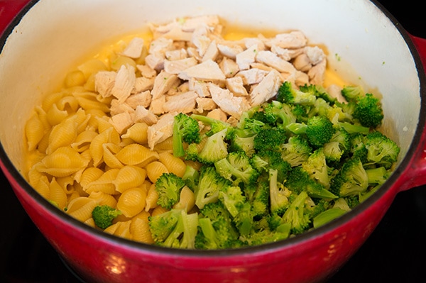 chicken and broccoli pasta ingredients in large pot