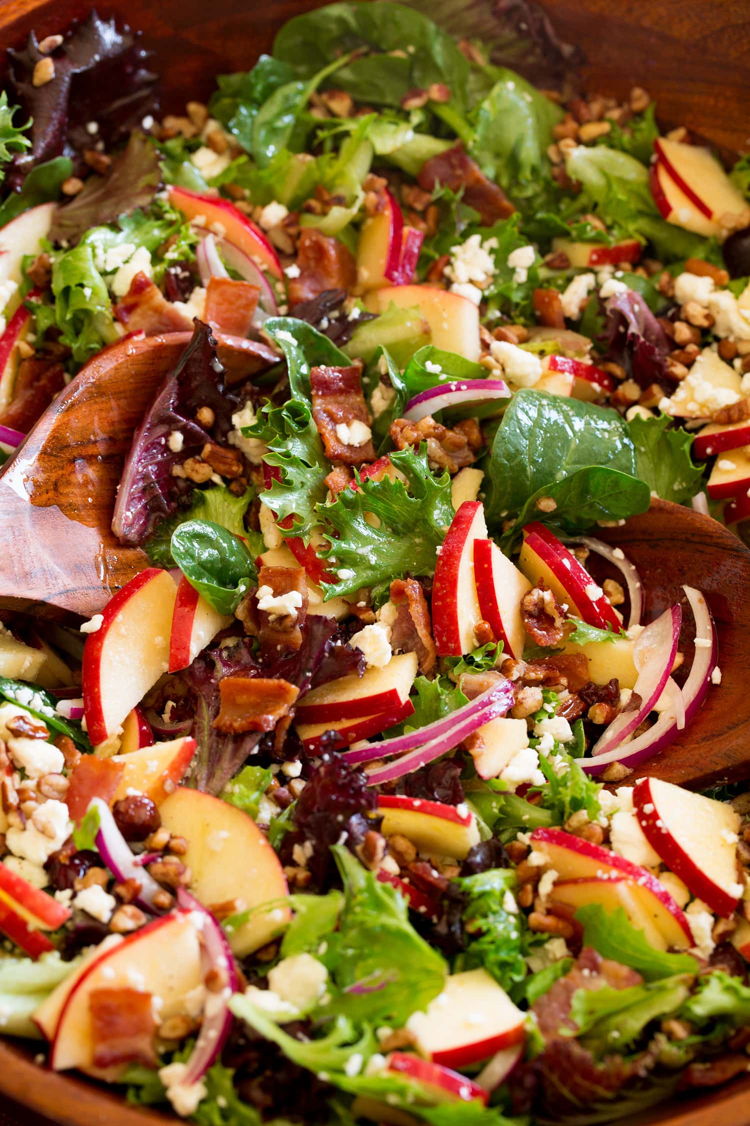Close up image of apple salad with spring lettuce and spinach, pecans, red onion, dried cranberries, feta and cider vinaigrette. 