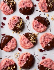 Chocolate Dipped Cranberry Sugar Cookies