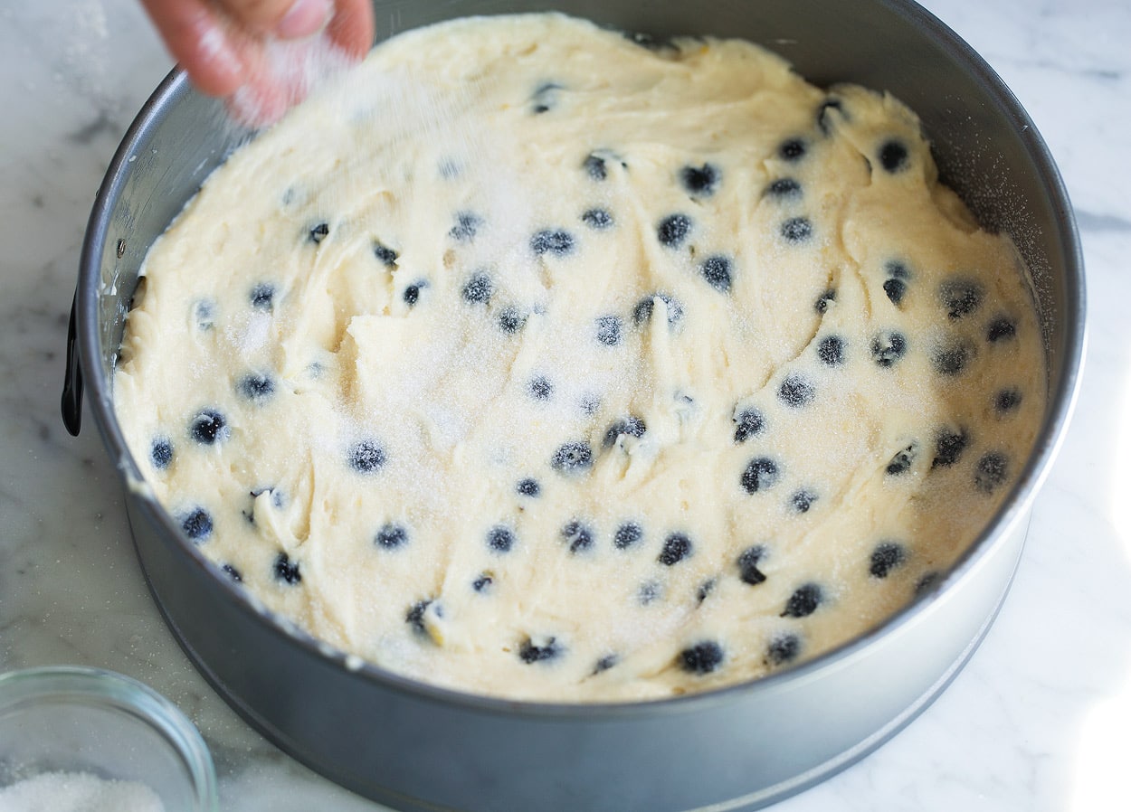 blueberry cake batter in 9-inch springform pan sprinkling with sugar