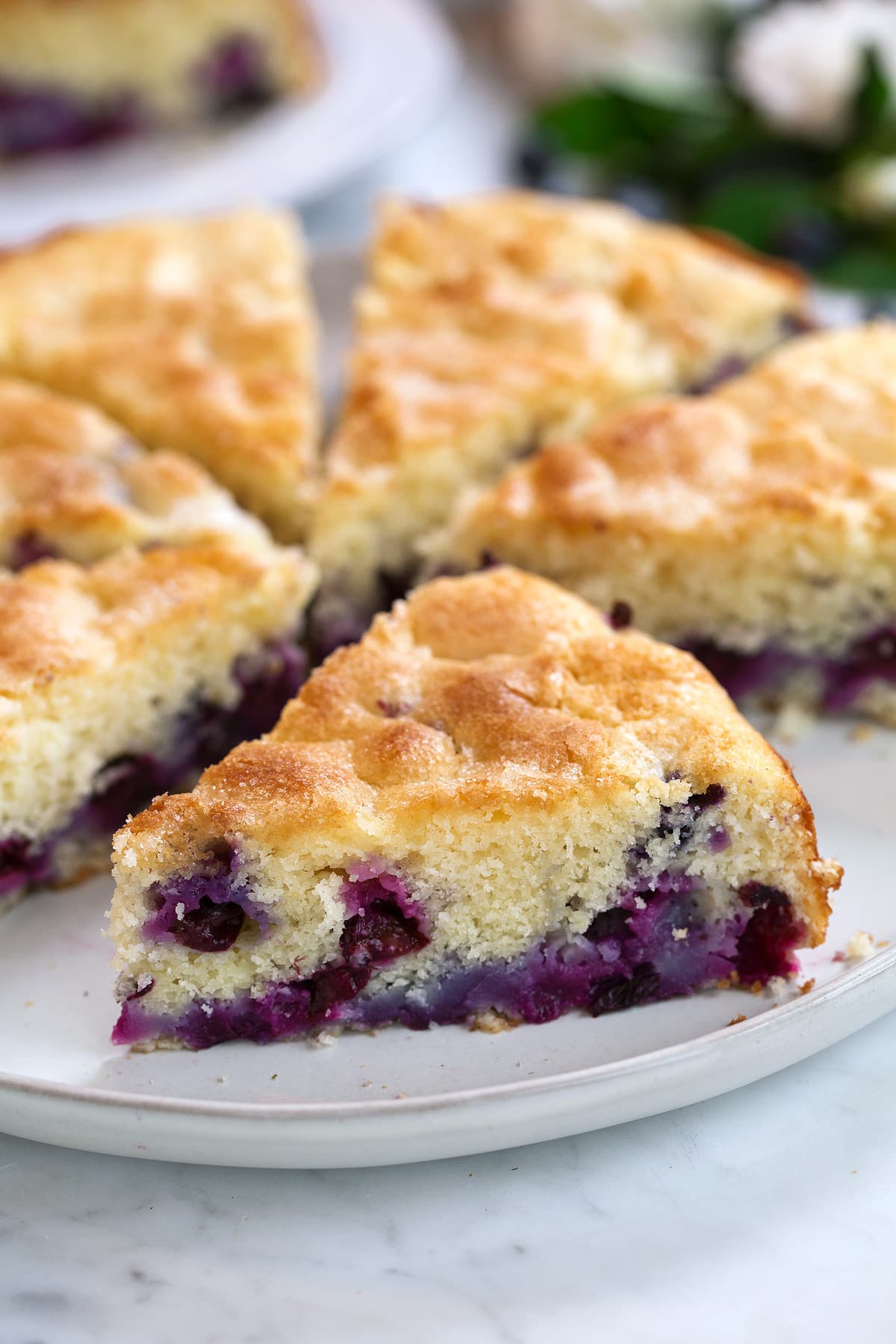 blueberry buttermilk cake slices on white plate