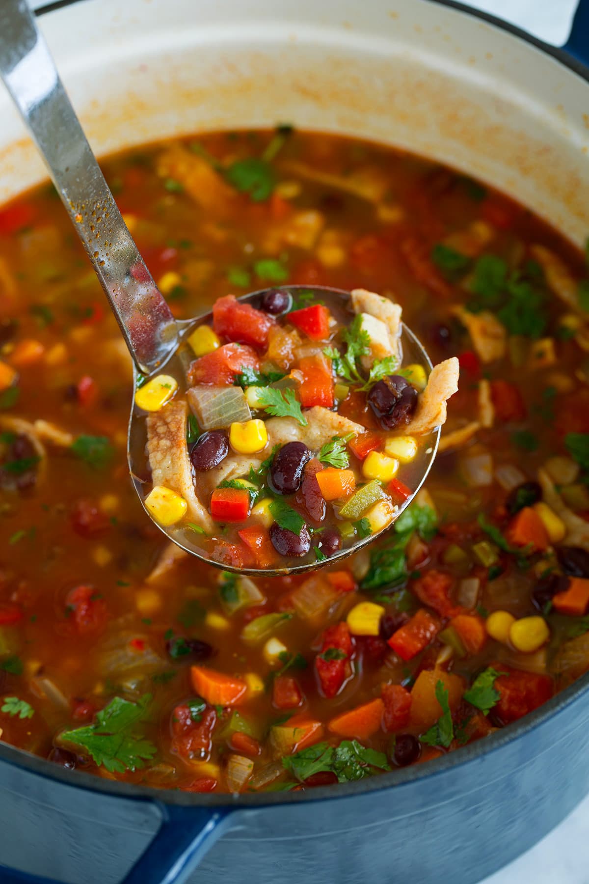 Black Bean Tortilla Soup - Cooking Classy