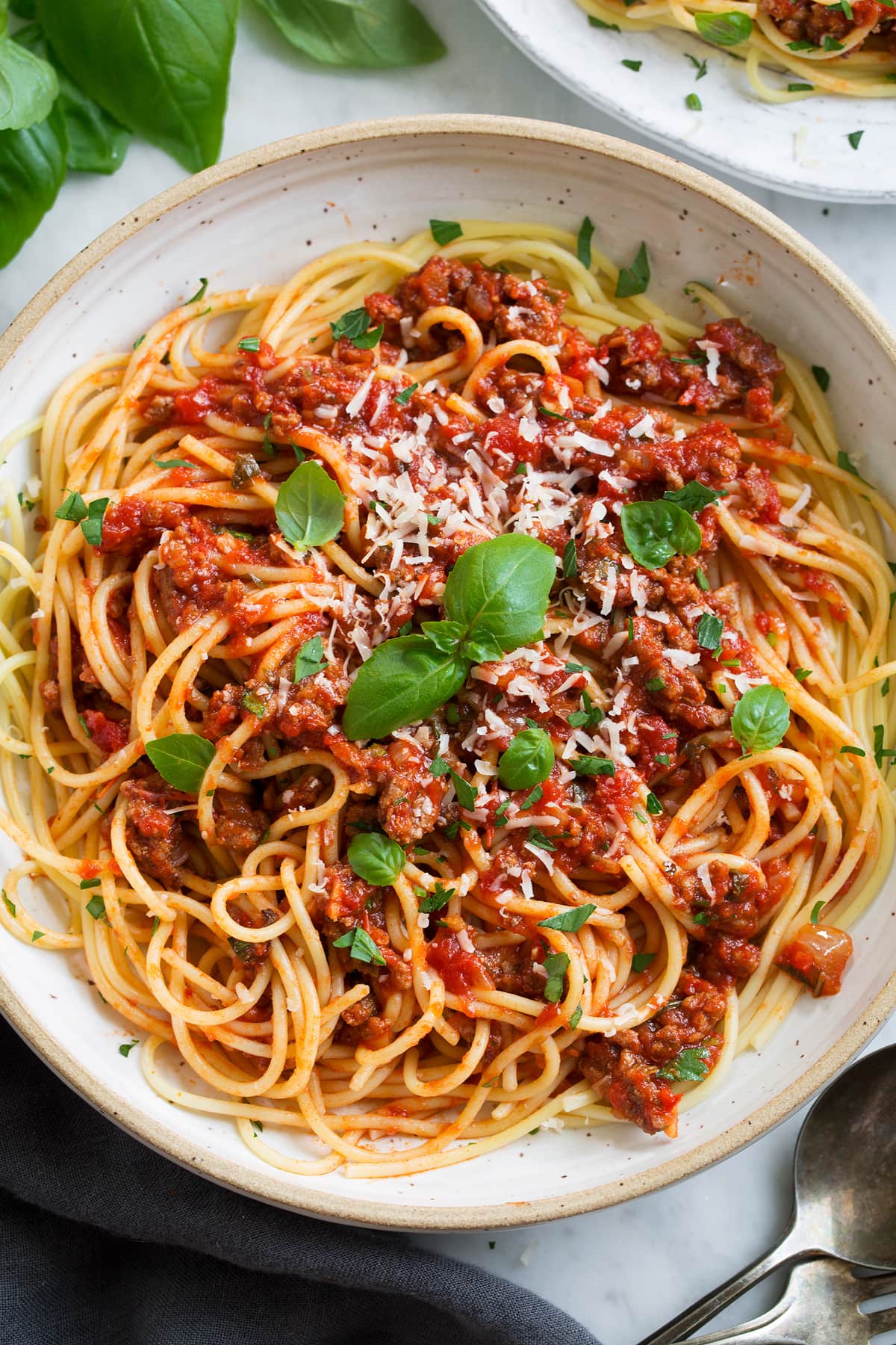 Homemade Spaghetti Sauce Bolognese