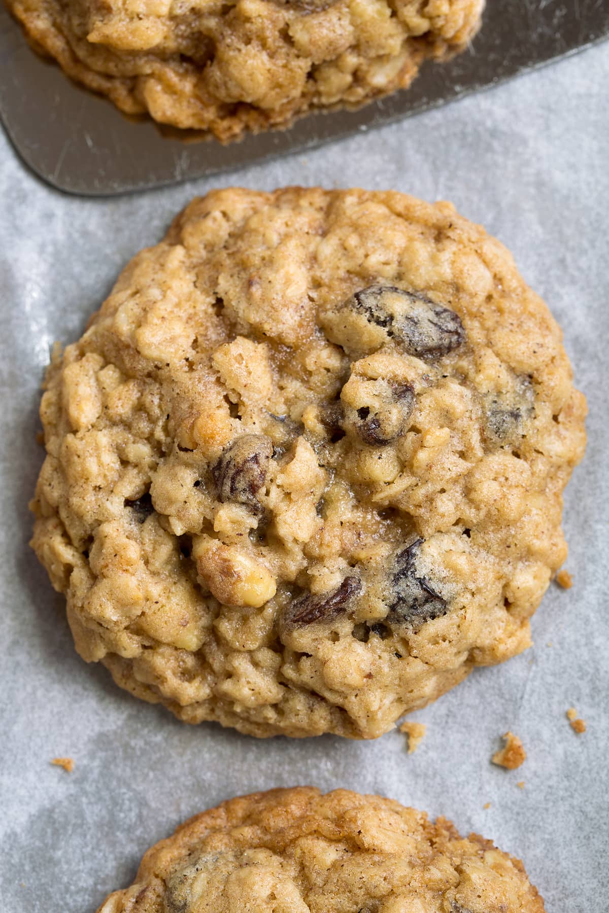 Close up image of one oatmeal raisin cookie sitting on parchment paper. Shows texture and moisture of cookie. 