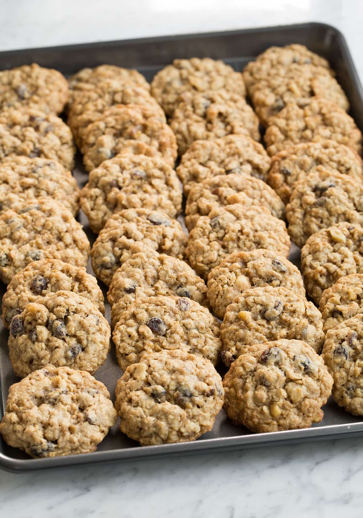 Whole batch of oatmeal cookies on baking sheet in rows after cooling.