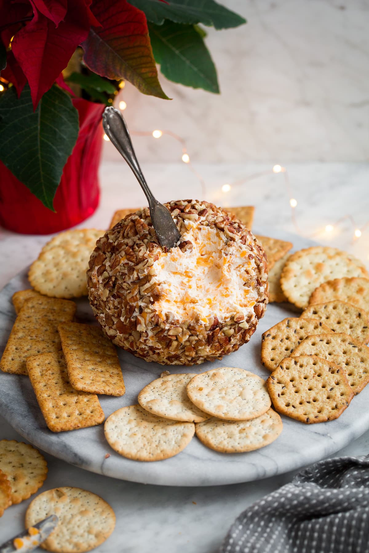 Cheese ball on a serving platter with crackers around it.
