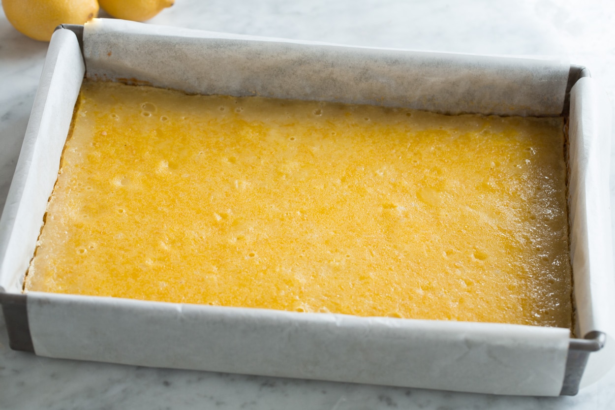 Lemon Bars in a 13 by 9-inch baking dish before slicing.
