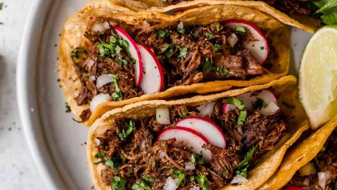 Barbacoa Beef