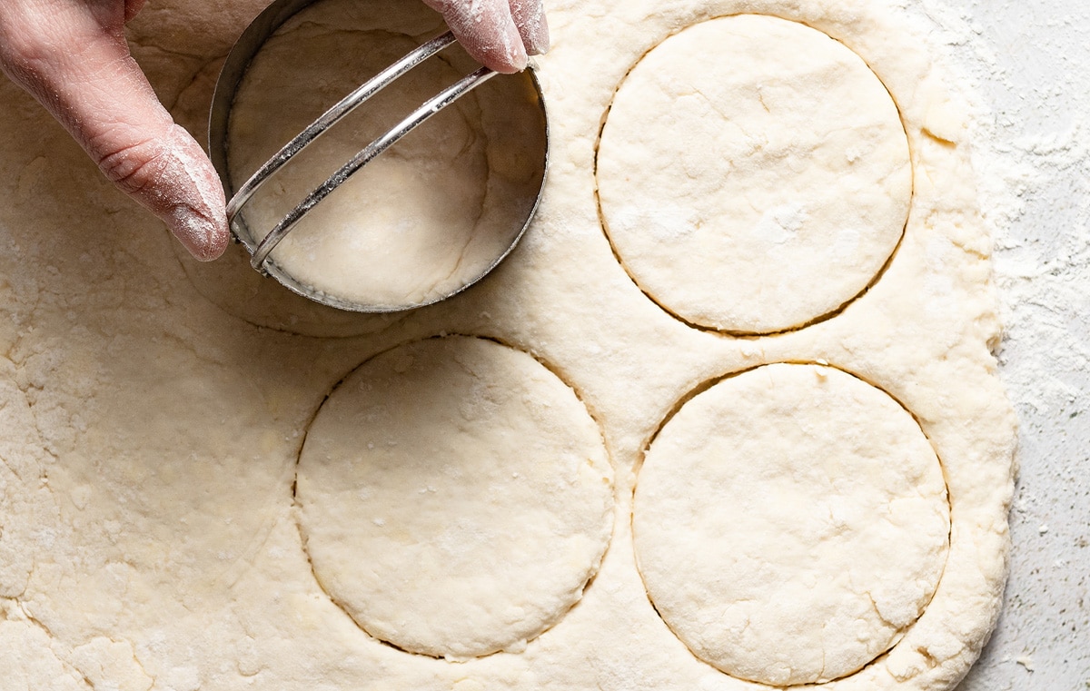 Cutting biscuit dough into rounds using a biscuit cutter.