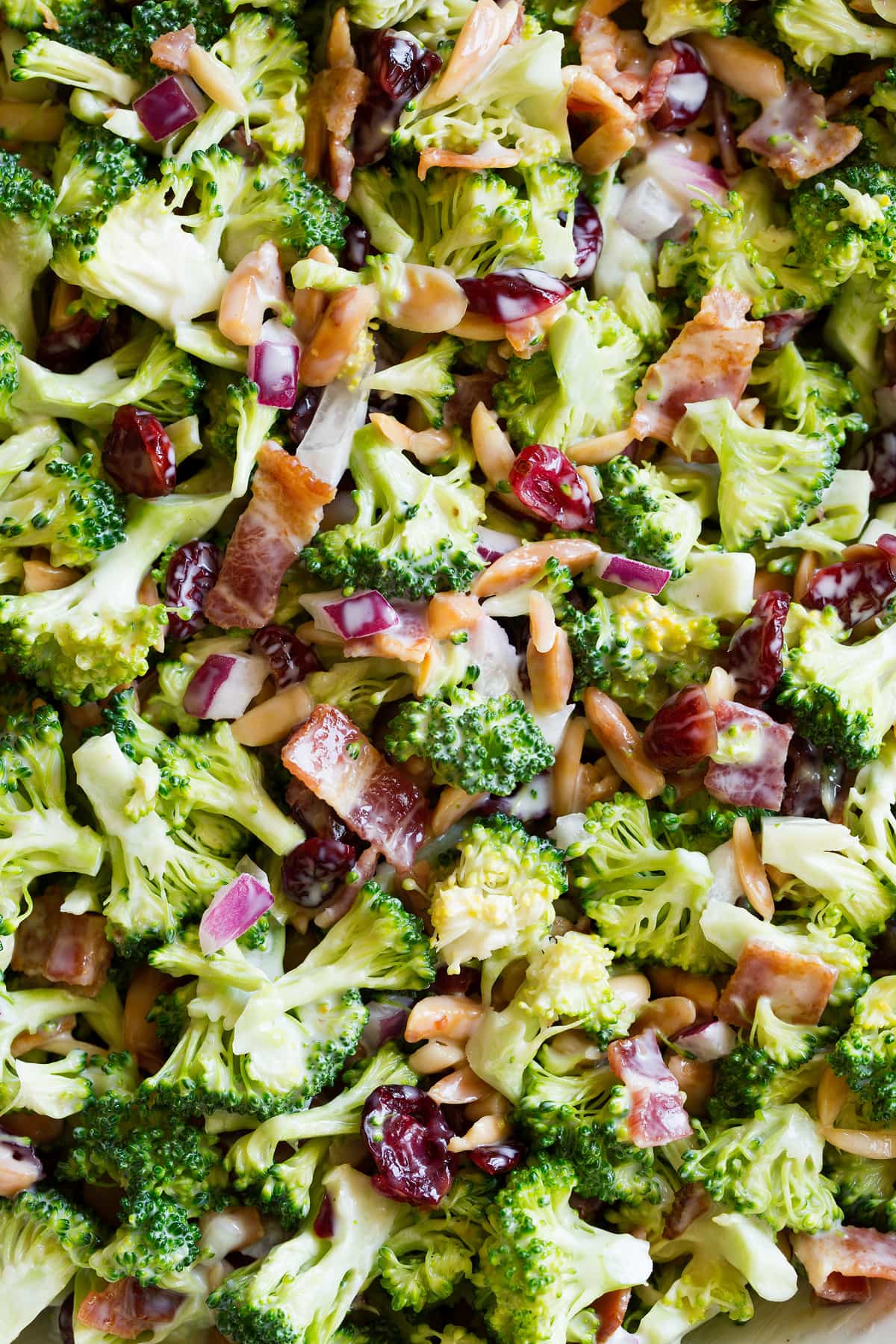 Broccoli salad close up showing ingredients