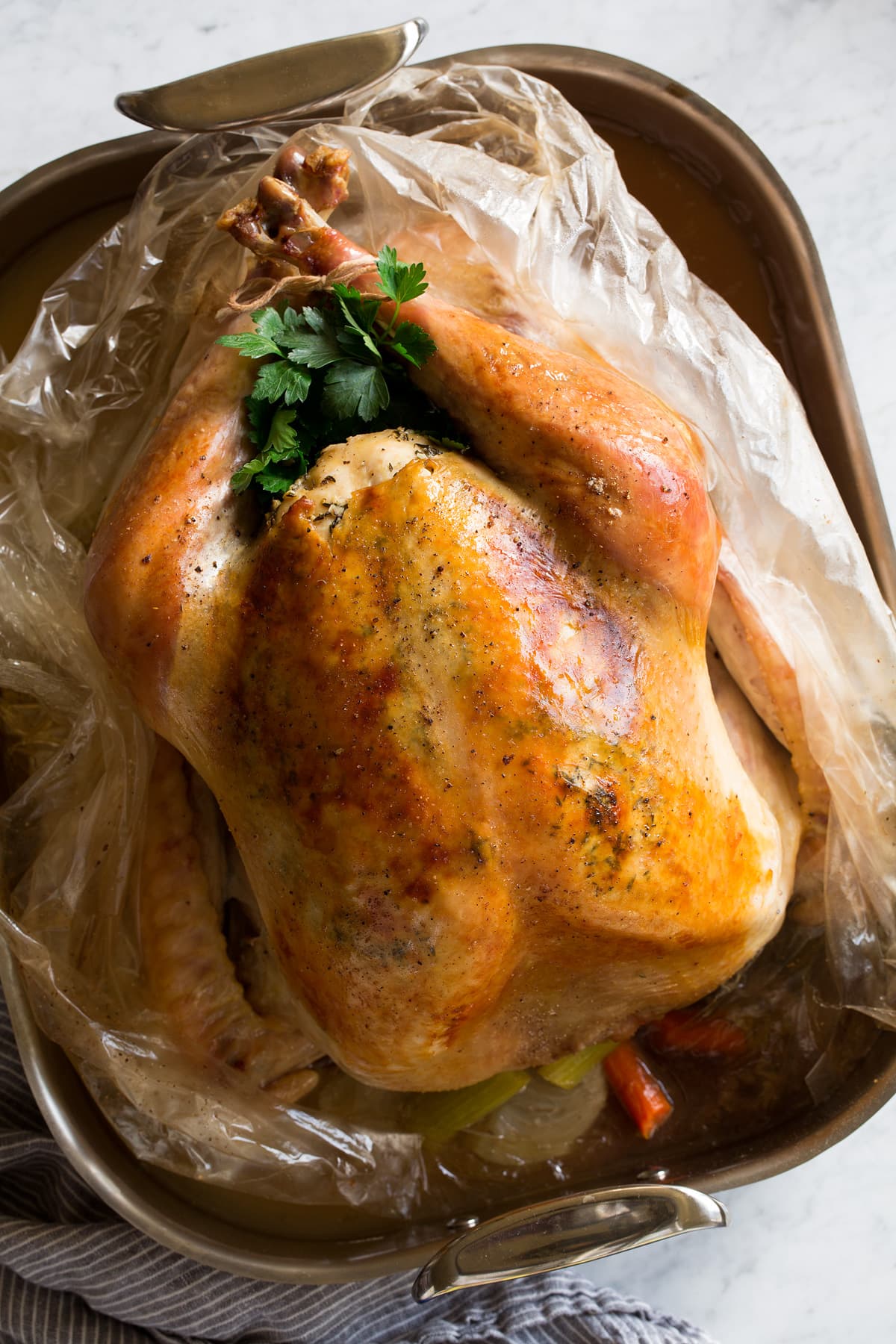Overhead image of large turkey with golden brown skin, sitting in an oven bag in a large roasting pan.