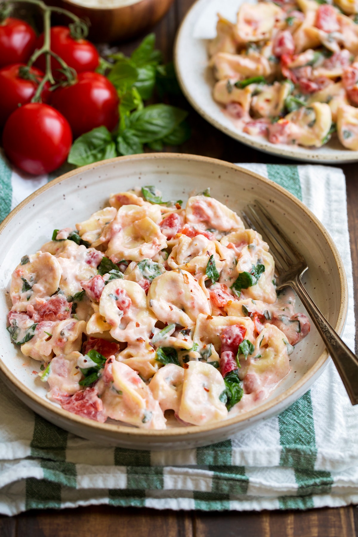 Serving of spinach and tomato tortellini in a pasta bowl.