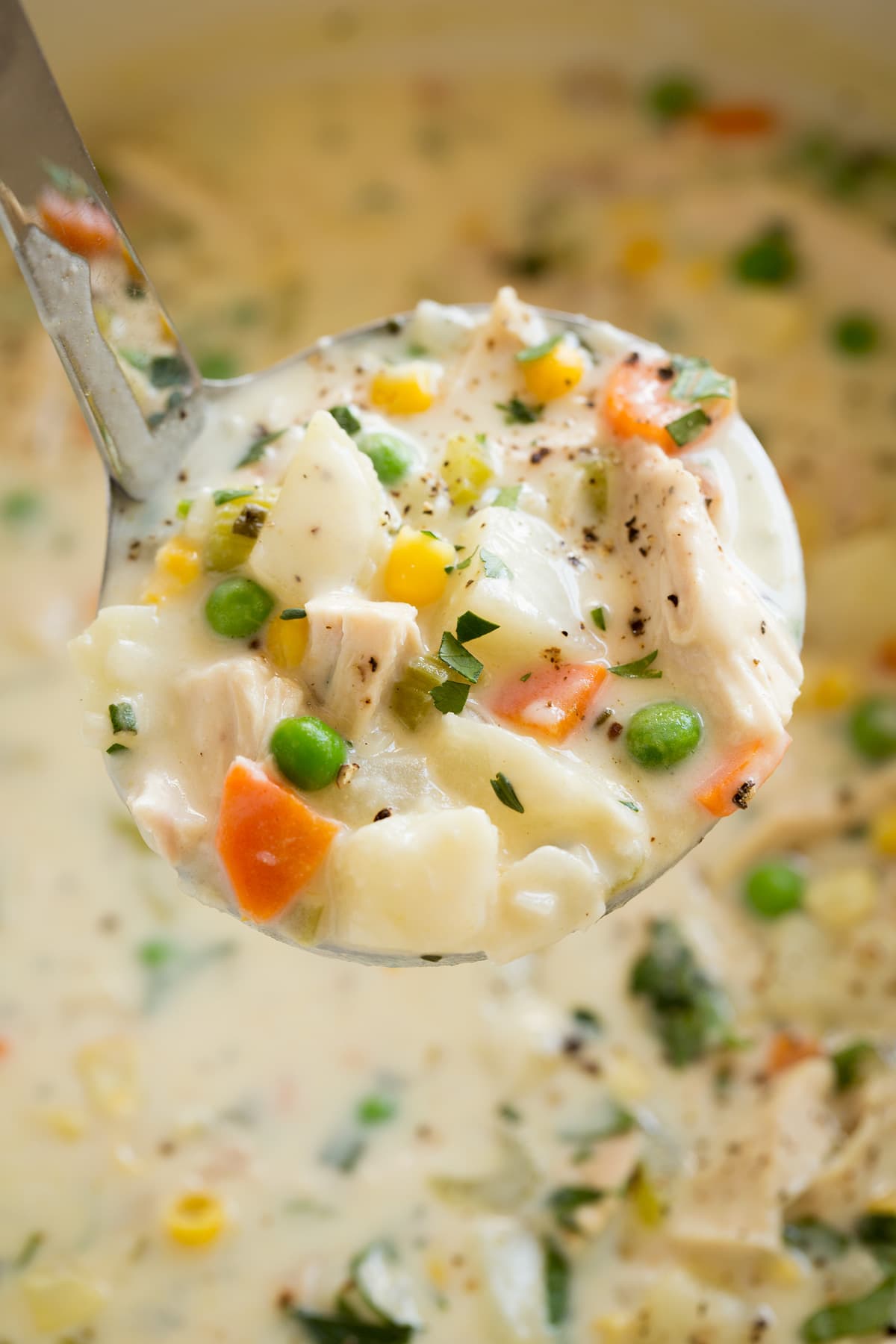 Close up image of ladle full of chicken pot pie soup.