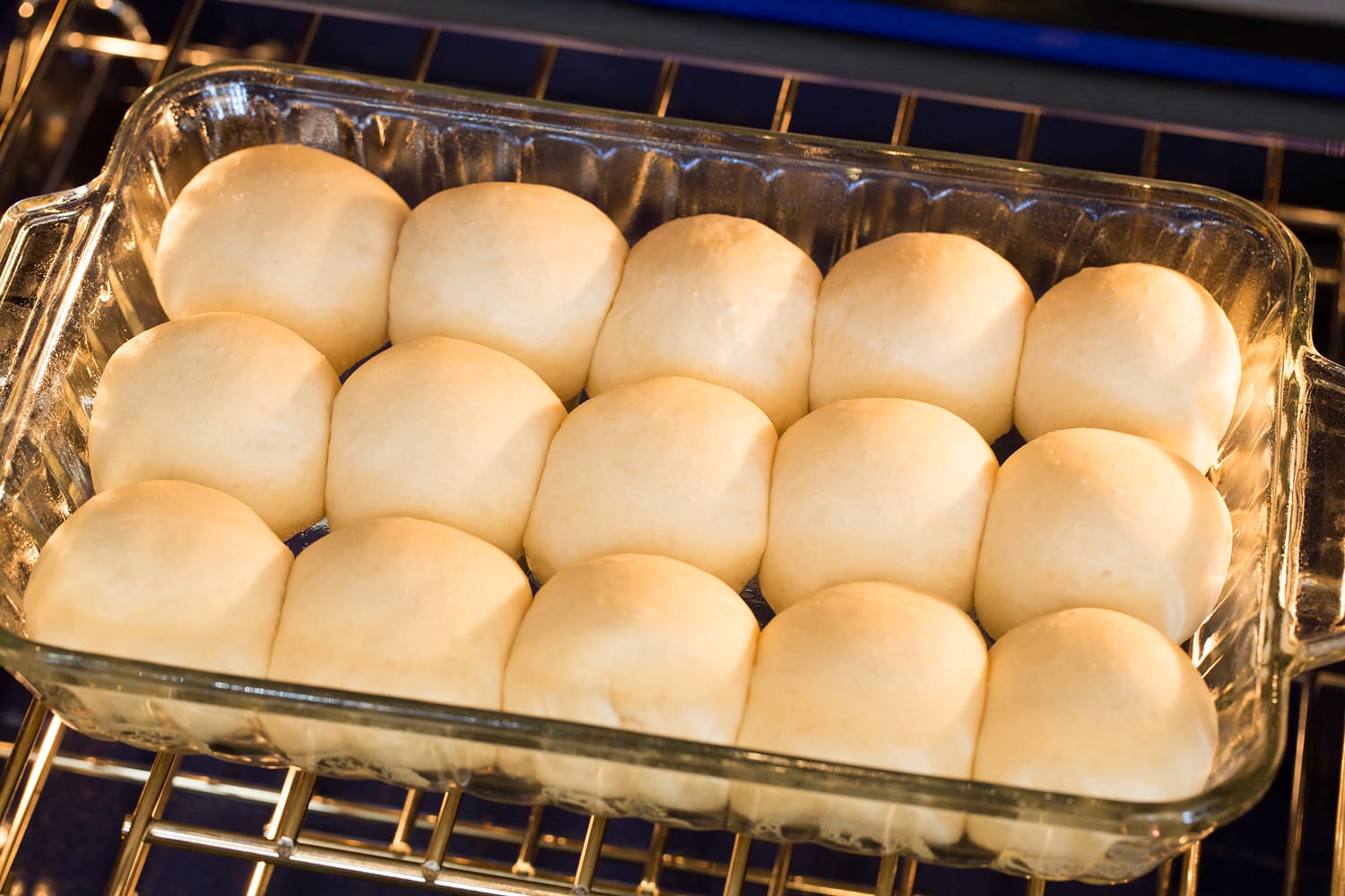 Rolls rising in oven.