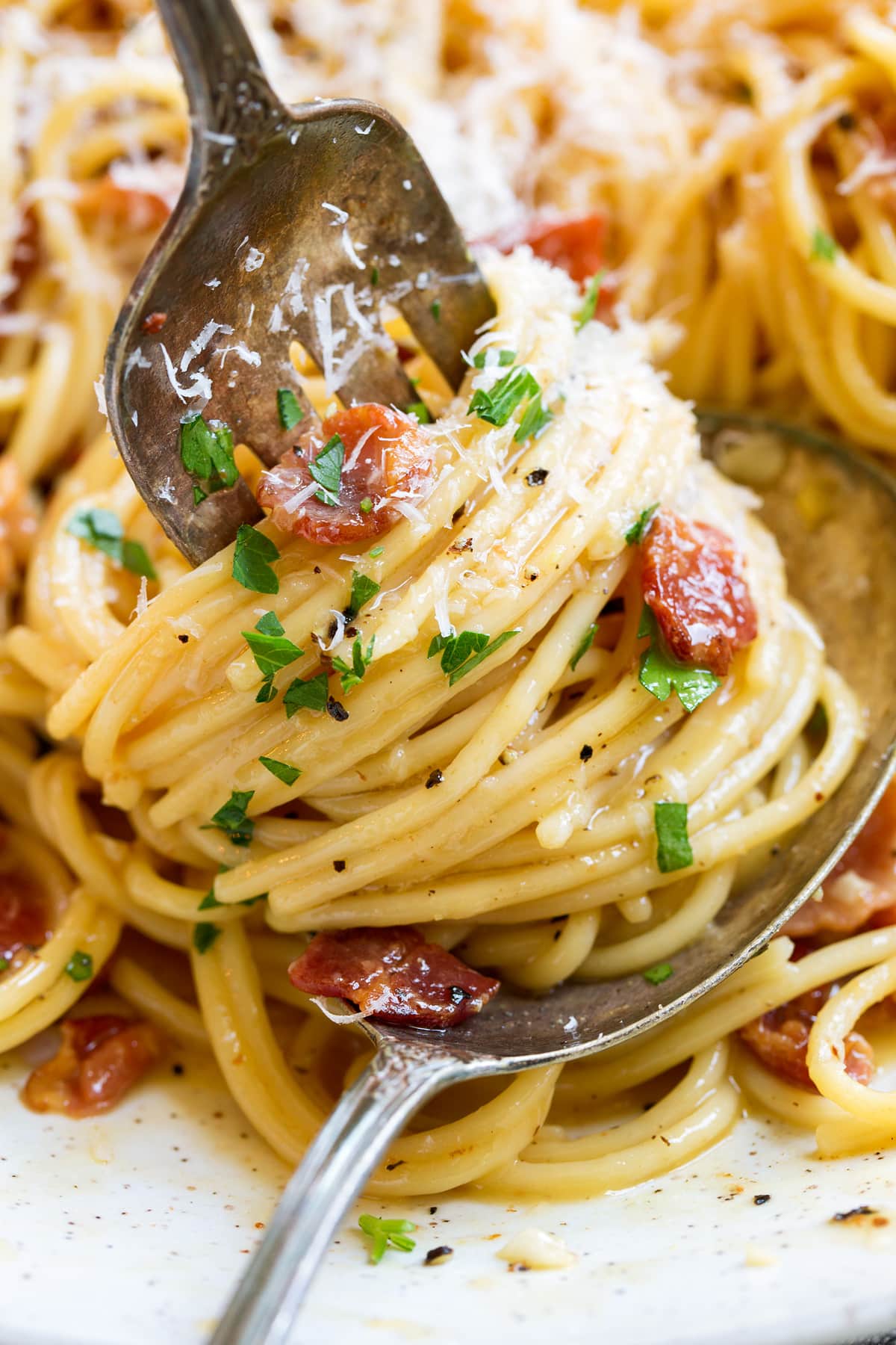 Spaghetti carbonara shown close up swirled around a fork.