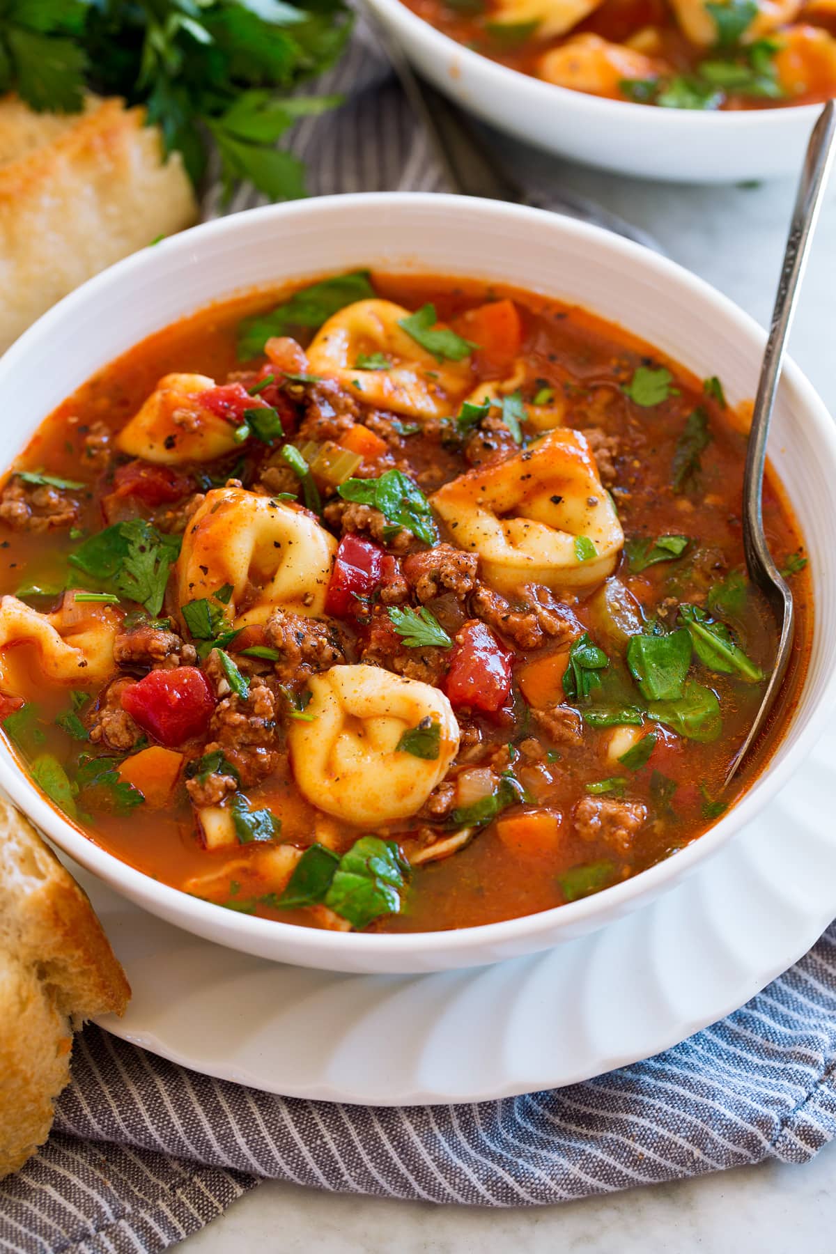 Bowl of tortellini soup with beef, vegetables, tomatoes and three cheese tortellini.