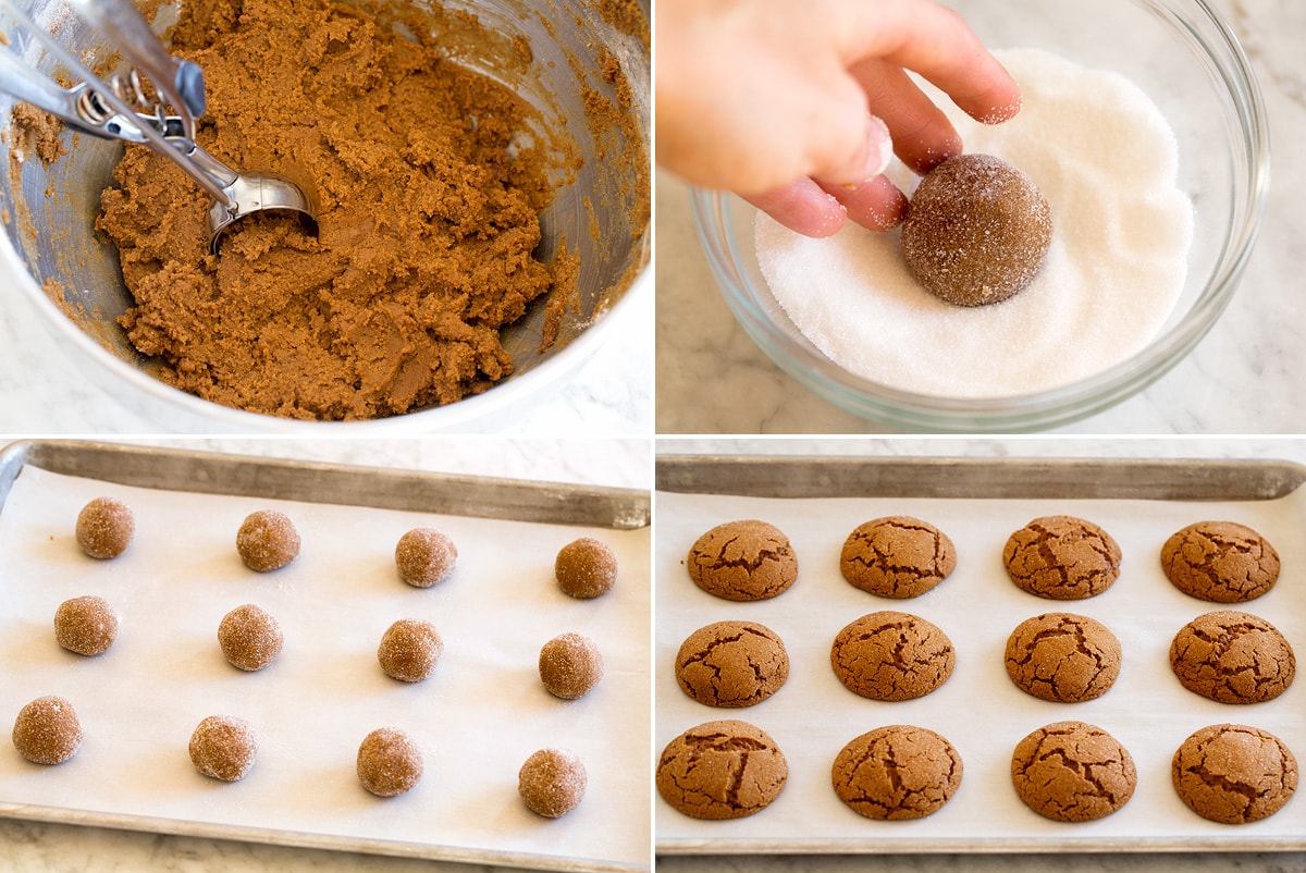 Collage of four images showing steps to shaping molasses cookies and rolling in sugar. Then shows molasses cookies on a baking sheet before and after baking.