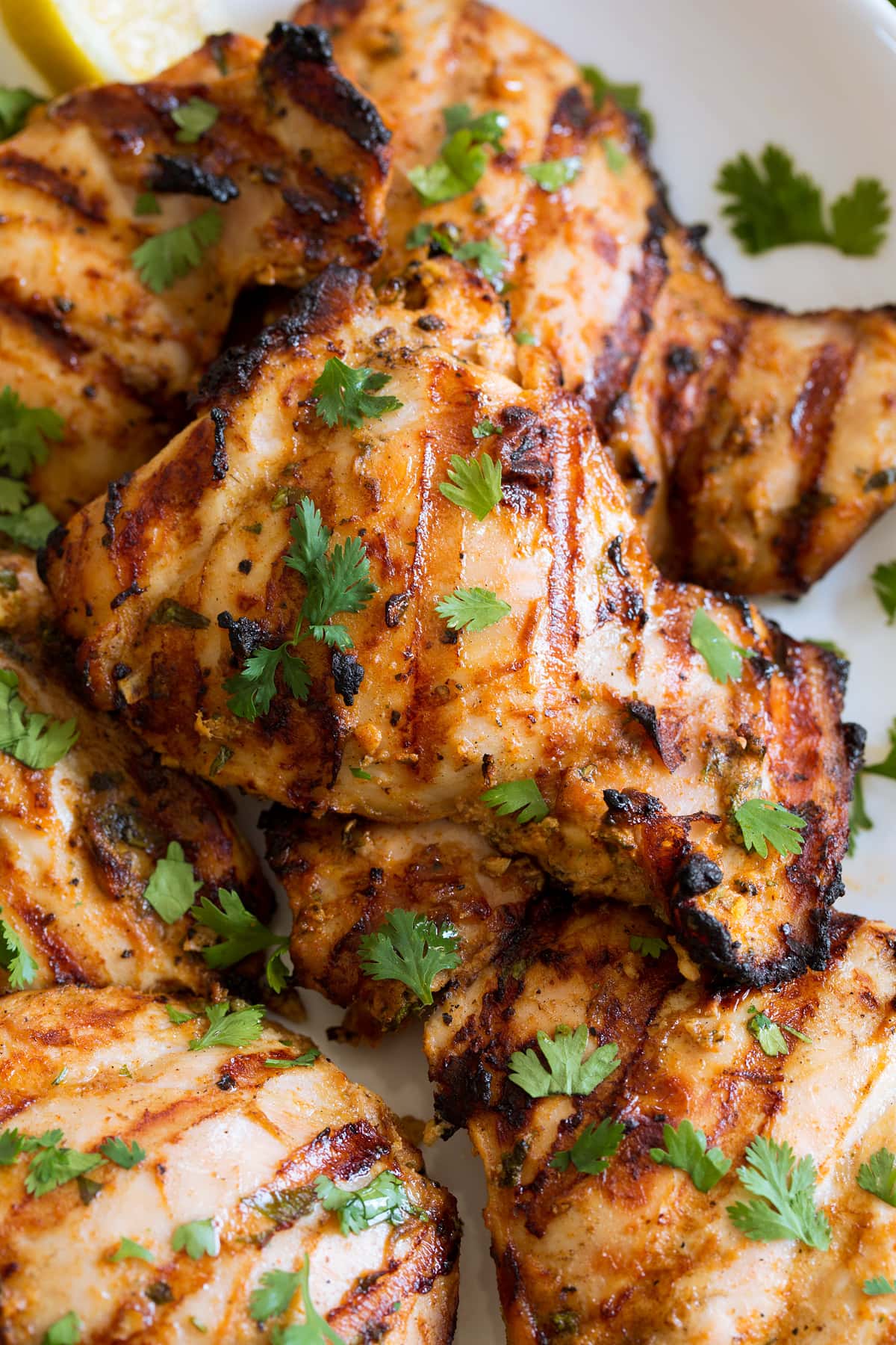 Close up photo of grilled chicken thighs with yogurt marinade. Chicken is garnished with cilantro.