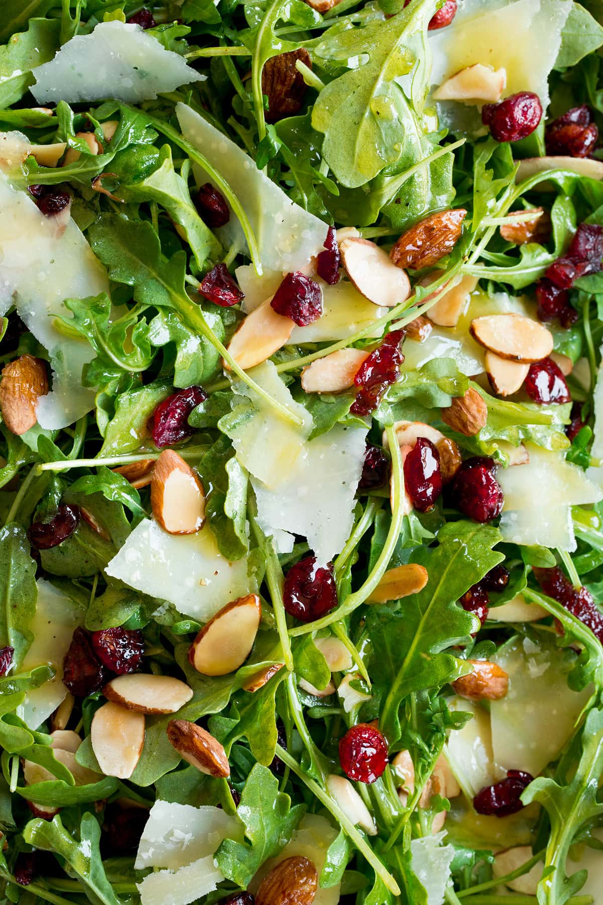 Close up photo of arugula salad showing baby arugula, dried cranberries, almonds, parmesan and dressing.