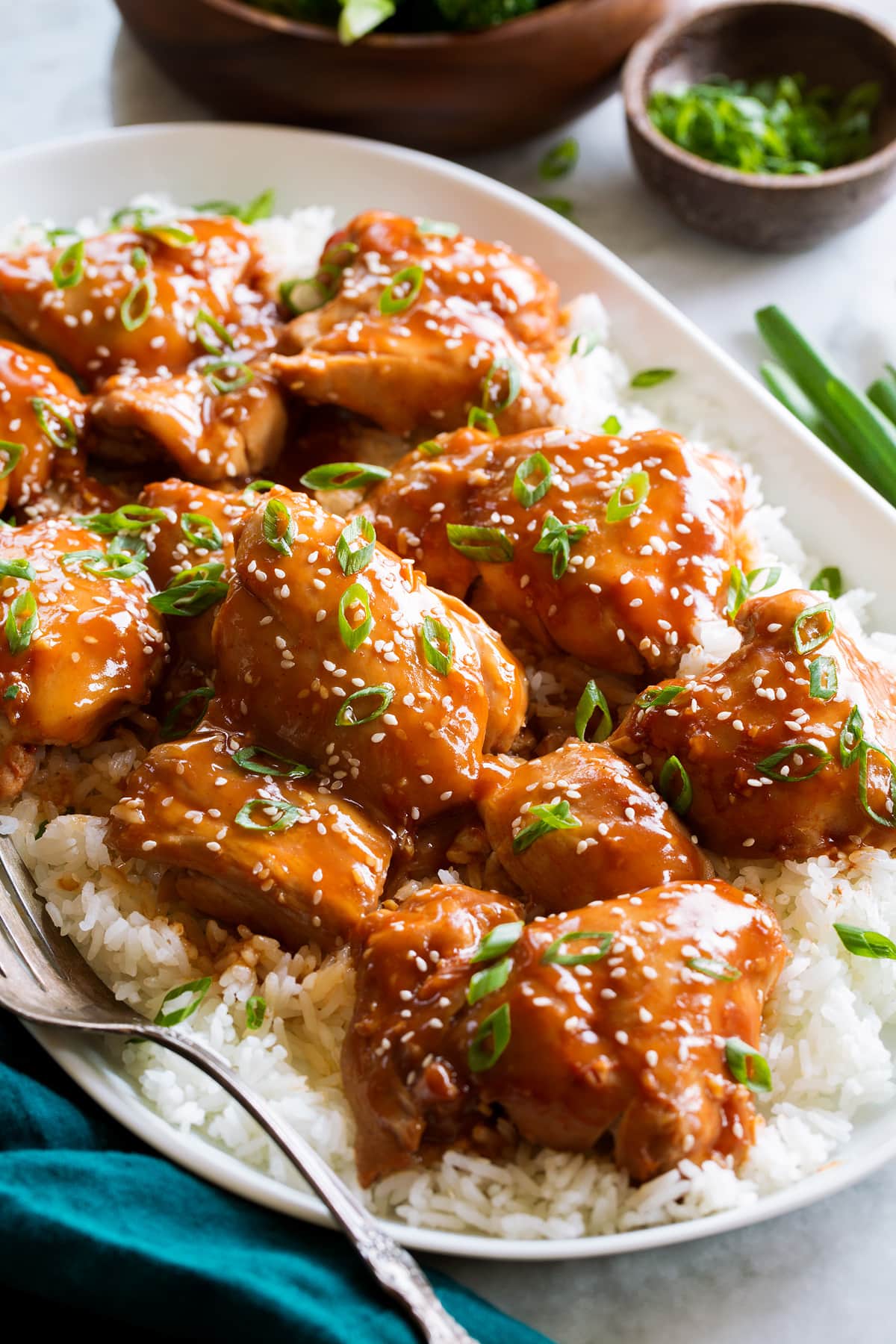Close up image of saucy chicken thighs with green onions and sesame seeds.