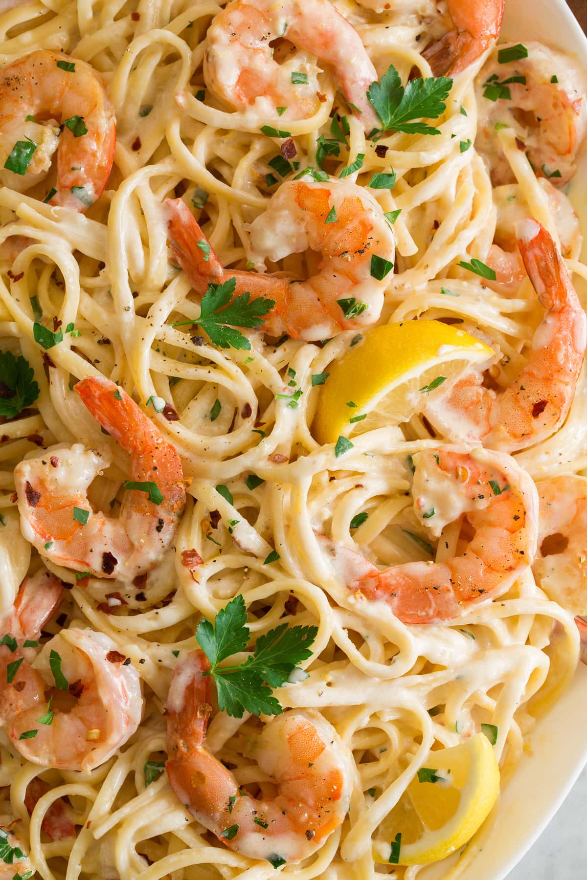 Close up photo of shrimp pasta with creamy lemon sauce.