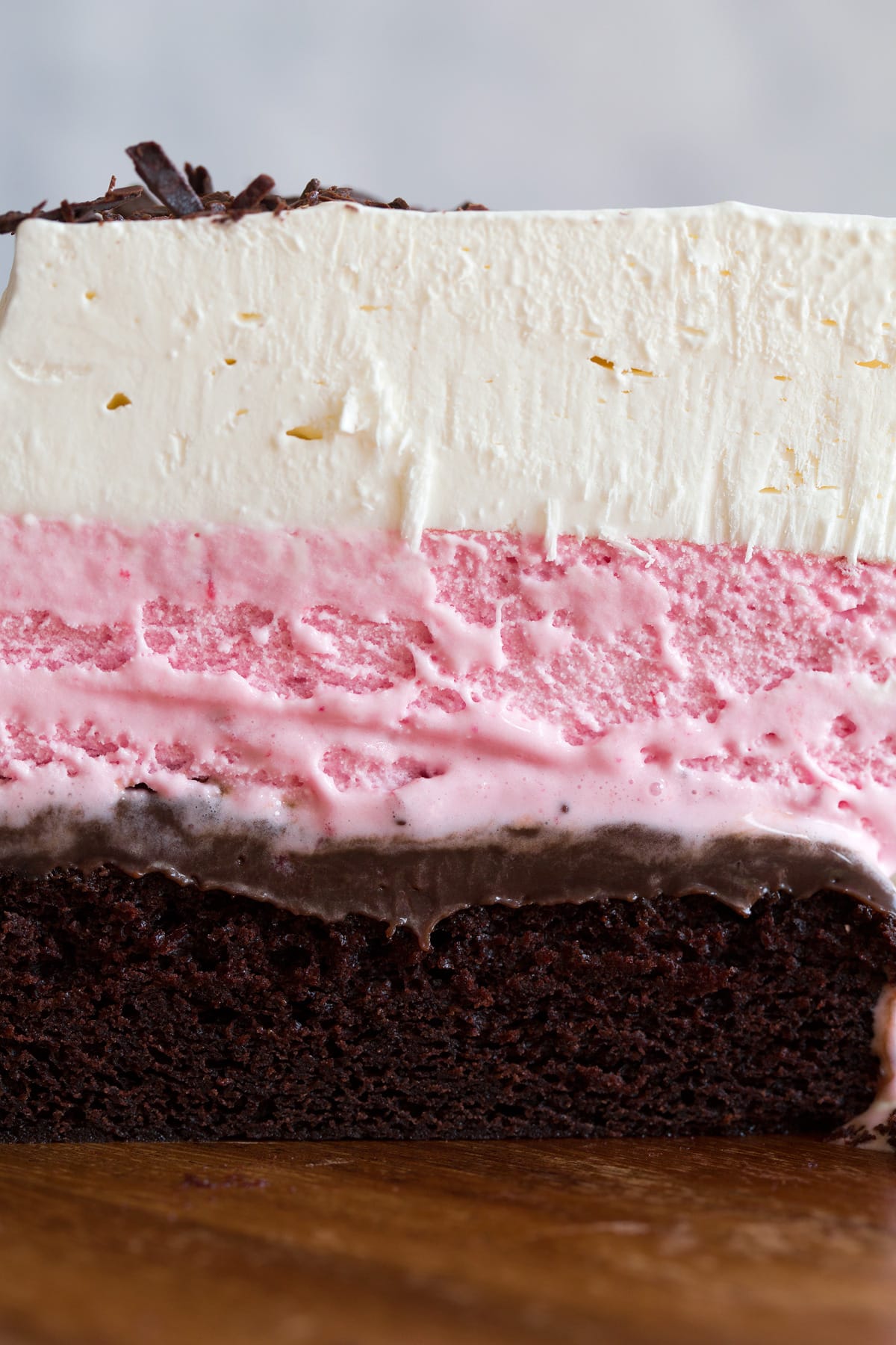 Close up photo of ice cream cake.