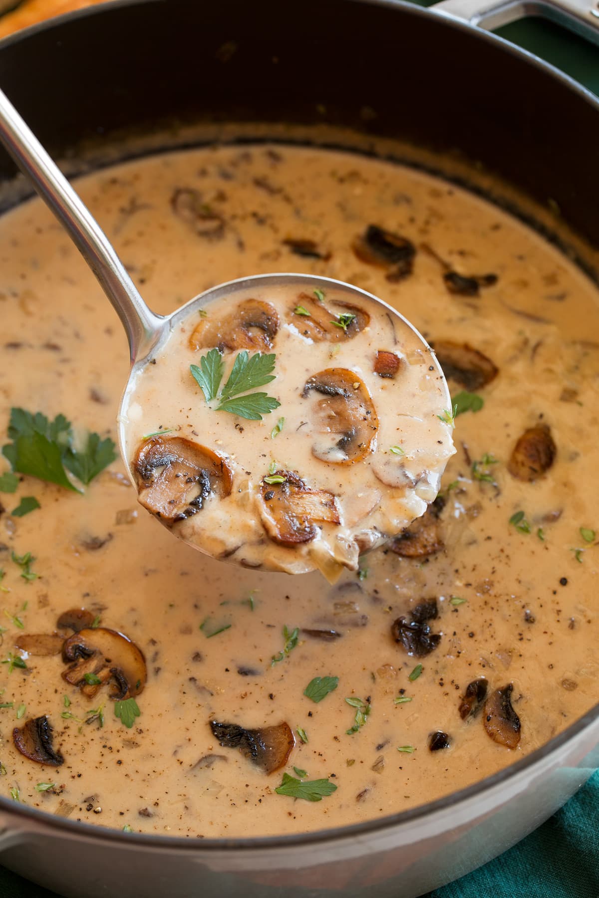 Close up photo of cream of mushroom soup in a ladle.