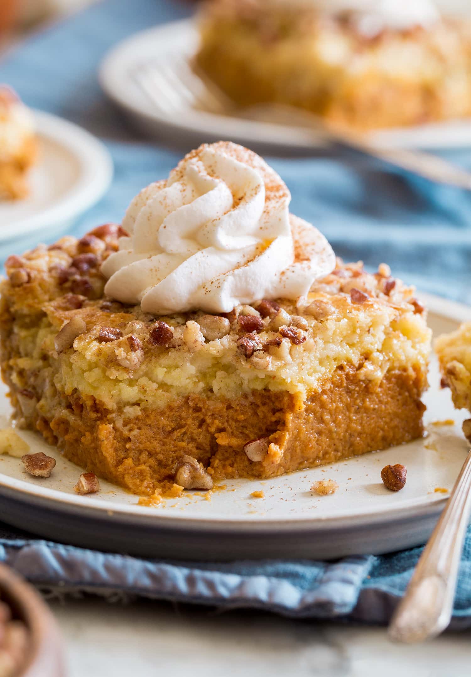 Dump cake made with easy pumpkin pie filling, cake mix, butter, pecans and whipped cream.