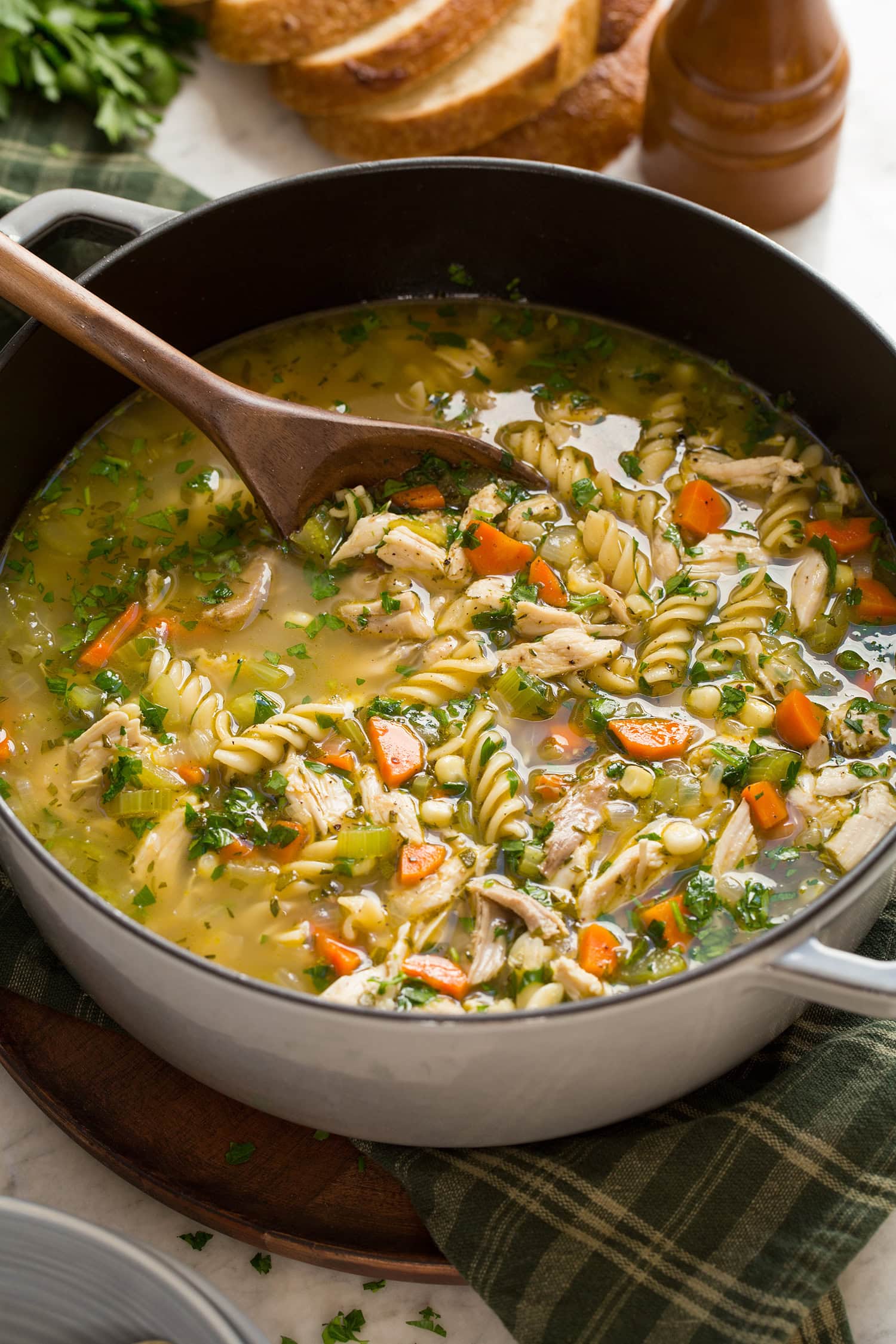Close up photo of turkey noodle soup showing veggies, turkey, noodles, herbs and broth.